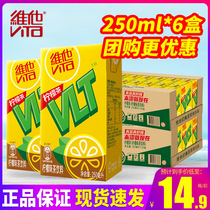 Vita维他柠檬茶250ml*6盒24盒整箱包邮柠檬味茶饮料特批价