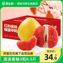 源生鲜福建平和红心柚琯溪蜜柚红肉柚当季新鲜时令水果柚子8.5斤