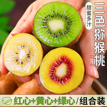 三色猕猴桃红黄绿心30枚组合装应当季水果大果狝泥弥猴桃包邮