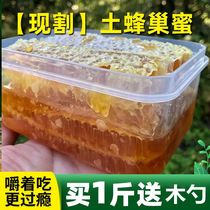 【现切】蜂巢蜜整块嚼着吃土蜂蜜纯正天然农家自产野生蜂窝蜜2斤