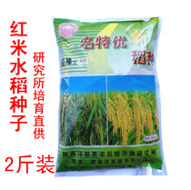 红米正宗洋县高产红籼米种子红米种子特色水稻1千克