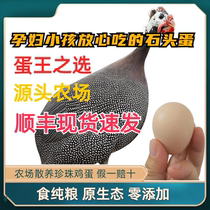 新鲜珍珠鸡蛋 现货直发 撞蛋斗蛋宝宝补钙 立夏蛋王选择 批发零售