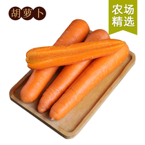 【专享】山东寿光胡萝卜新鲜5斤农家自种化龙胡萝卜