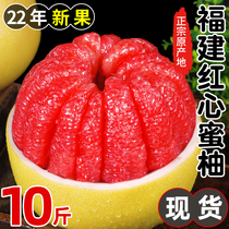 福建平和红心柚子水果新鲜红心蜜柚三红蜜柚当季整箱密柚10斤管溪
