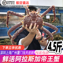 进口帝王蟹活鲜活4.5斤 长脚蟹特大帝皇蟹海鲜阿拉斯加10澳洲闪送