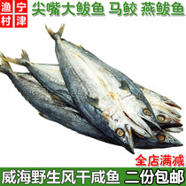 尖嘴大鲅鱼干 燕鲅鱼 深海风干咸鱼干马鲛鱼威海特产海鲜干货500g