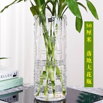 特大号圆柱落地富贵竹花瓶直筒玻璃透明水养水培直筒家用客厅插花
