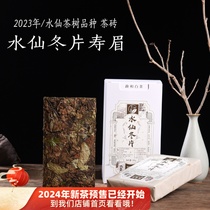茶砖 2023年水仙白冬片寿眉300g茶饼  高枞水仙茶树白茶冬茶寿眉