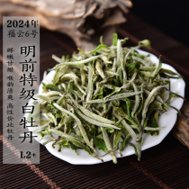 新茶 2024年福云6号特级白牡丹L2+  清明前春茶清香政和白茶
