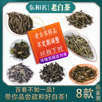 东和茗老白茶品鉴装2015201720182019白牡丹政和白茶试喝陈茶茶样