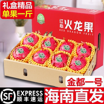 【水果礼盒】海南金都一号火龙果红心 新鲜当季三亚水果京都一号