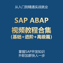 SAP系统 ABAP开发模块视频教学教程（从入门到精通）