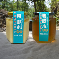 鸭脚木蜂蜜广西梧州蒙山特产纯天然原生态土蜂蜜正品纯香冬蜜礼盒