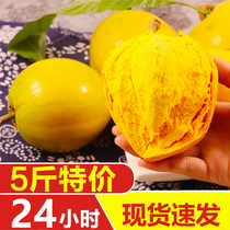 海南鸡蛋果新鲜水果蛋黄果新鲜水果稀有热带云南特产5斤整箱包邮3