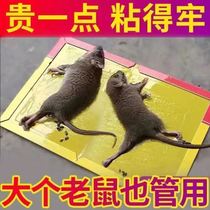 粘鼠板强力胶粘大老鼠贴胶抓鼠灭鼠捕鼠神器超强家用老鼠粘一窝端