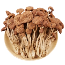 福建茶树菇干货级特新鲜蘑菇商用批发营养菌菇类炖汤火锅美味