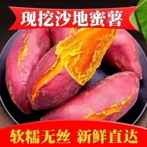 西瓜红蜜薯新鲜10斤板栗红薯农家自种红心地瓜糖心烤番薯蔬菜包邮