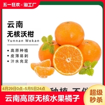 云南高原无核蜜柑沃柑桔子无籽水果橘子整箱时令现采5斤大果