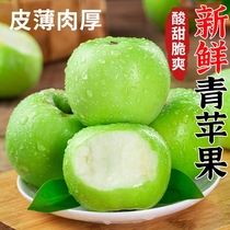 青苹果新鲜水果9斤小苹果酸脆甜富士应当季孕妇水果整箱包邮酸甜