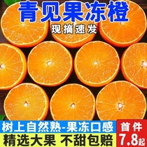 四川青见果冻橙10斤当季整箱新鲜桔子蜜橘孕妇水果包邮甜橙大果