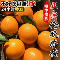 正宗湖北秭归伦晚脐橙新鲜橙子10斤大果特产水果当季果冻冰糖甜橙