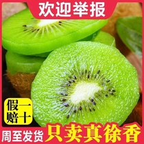 陕西周至徐香猕猴桃官方旗舰店当季新鲜5斤水果彩箱产地奇异果