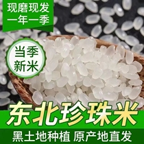 掌正宗东北黑龙江大米10斤小包装梗米珍珠米5kg新米粳米一级家用