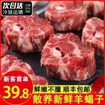 内蒙古羊蝎子5斤生鲜新鲜带肉羊骨头多肉火锅羊脊骨商用羊肉顺丰