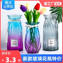 新款玻璃花瓶摆件透明彩色水培植物干花花瓶客厅装饰插花瓶
