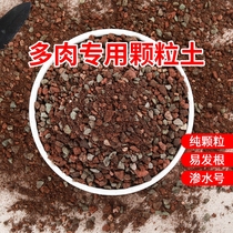 多肉土专用颗粒营养土泥炭种植土铺面石叶插纯颗粒土包邮船长扦插