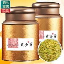 黄金芽茶叶2024年新茶明前珍稀高山安吉绿茶春茶自己喝黄金叶罐装