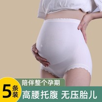 大码孕妇内裤女纯棉裆抗菌怀孕期专用早晚期无痕高弹薄款透气高腰