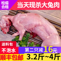 新鲜兔肉整只现杀鲜兔子肉冷冻兔农家散养真空大兔肉3.2斤~4斤