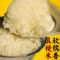 大米5kg 10斤新米2024南粳46米鲜香梗米鲜米珍珠米油粘米正宗粳米