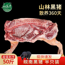 白荡里黑猪白条50斤山林散养新鲜猪蹄排骨肋排猪腿肉五花肉半只猪
