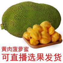 35-40斤【直播黄肉菠萝蜜】新鲜水果包邮  波罗蜜  木菠萝