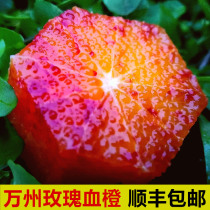 重庆血橙新鲜水果10斤万州玫瑰香橙塔罗科四川资中长寿湖红心雪橙
