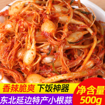 西塔东北特产小根蒜500g韩式泡菜小菜下饭菜腌制大脑瓜山野蒜咸菜