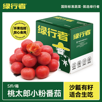 【绿行者】桃太郎番茄新鲜自然熟生吃番茄酸甜水果孕妇桃太郎番茄