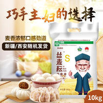 新疆奇台丝麦耘雪花粉家用面粉10kg筋道面条饺子馒头小麦麦芯粉