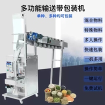 全自动食品生鲜水饺面条水果干五金螺丝链斗式包装机充氮气包装机