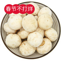 口蘑  火锅涮菜 新鲜蔬菜500g