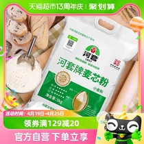 河套面粉麦芯粉5kg×1袋河套小麦面粉饺子馒头面条麦芯通用面粉