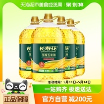 【家庭量贩装】长寿花玉米油5.436L*4非转基因物理压榨烘焙食用油