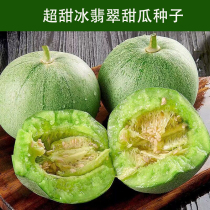 冰翡翠绿皮绿壤甜瓜种子含糖19% 超甜绿肉四季脆瓜早熟高产 香瓜