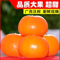 正宗广西武鸣沃柑当季新鲜水果精品特级大果橘桔/子一级澳柑沃杆