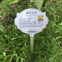 不锈钢树牌定制立杆插地牌园艺花草树木标识牌二维码园林植物牌