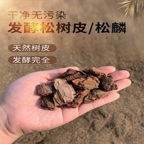 云南兰花专用发酵松树皮种植基质蕙兰 石斛强力生根+送高效缓释肥