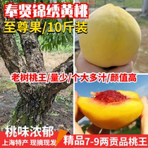 正宗上海奉贤光明锦绣黄桃7-9两 农家新鲜水果应季 精品特产10斤