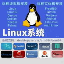 远程虚拟机安装linux/ubuntu/centos/deepin/mac/arch双系统安装